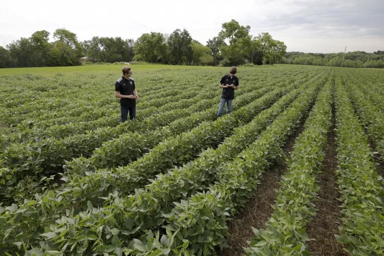 August 16, 2019: Okaw Valley High School shows agriculture complex during open house